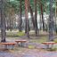 Wooden Balance Board leikkipuiston keinuvana tasapainolaudana metsässä